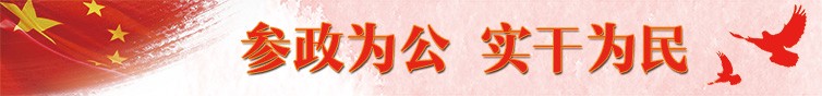 参政为公  实干为民