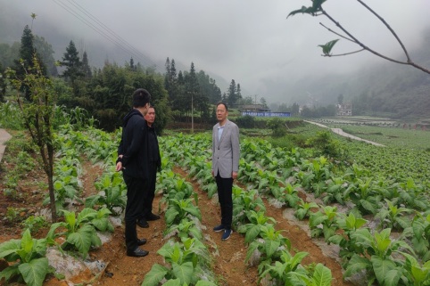 23345f06413ab52cd2dbce86eb010c59.jpg 23345f06413ab52cd2dbce86eb010c59.jpg