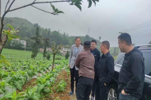 fd39f0144978191882de5700128882c6.jpg fd39f0144978191882de5700128882c6.jpg